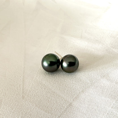 Shell Pearl Studs