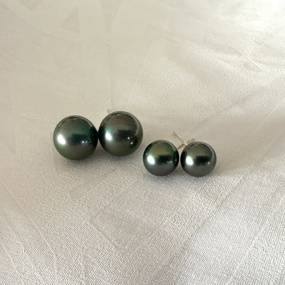 Shell Pearl Studs