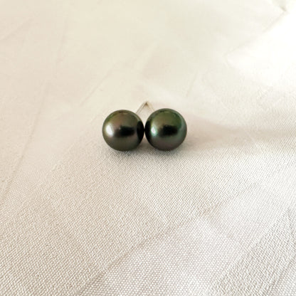 Shell Pearl Studs